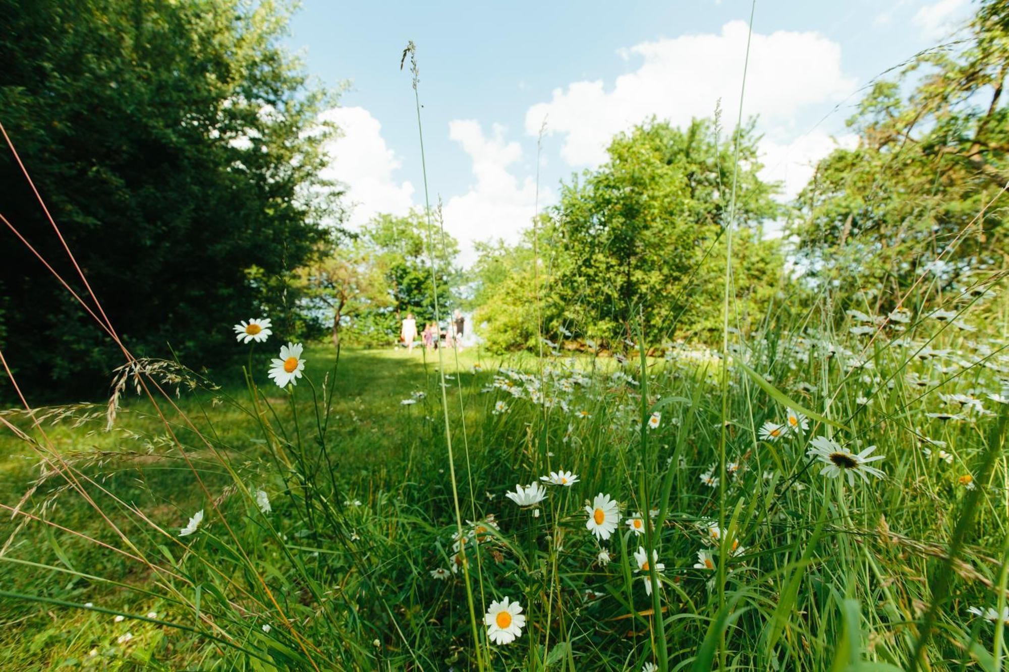 Feriendomizil Alter Garten Temmen-Ringenwalde Zewnętrze zdjęcie