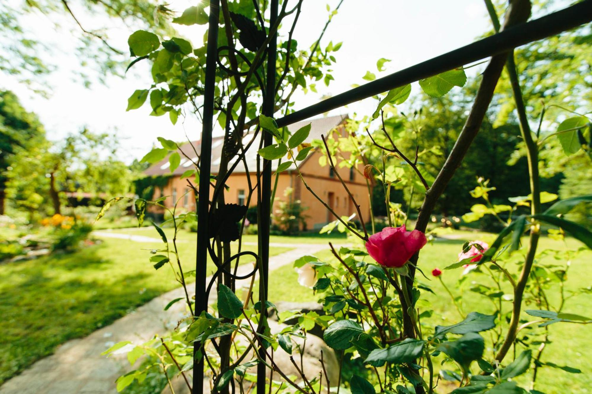 Feriendomizil Alter Garten Temmen-Ringenwalde Zewnętrze zdjęcie
