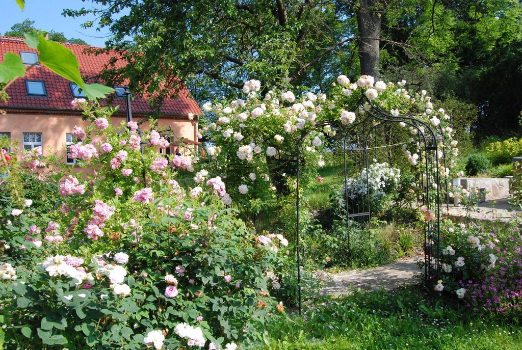 Feriendomizil Alter Garten Temmen-Ringenwalde Zewnętrze zdjęcie