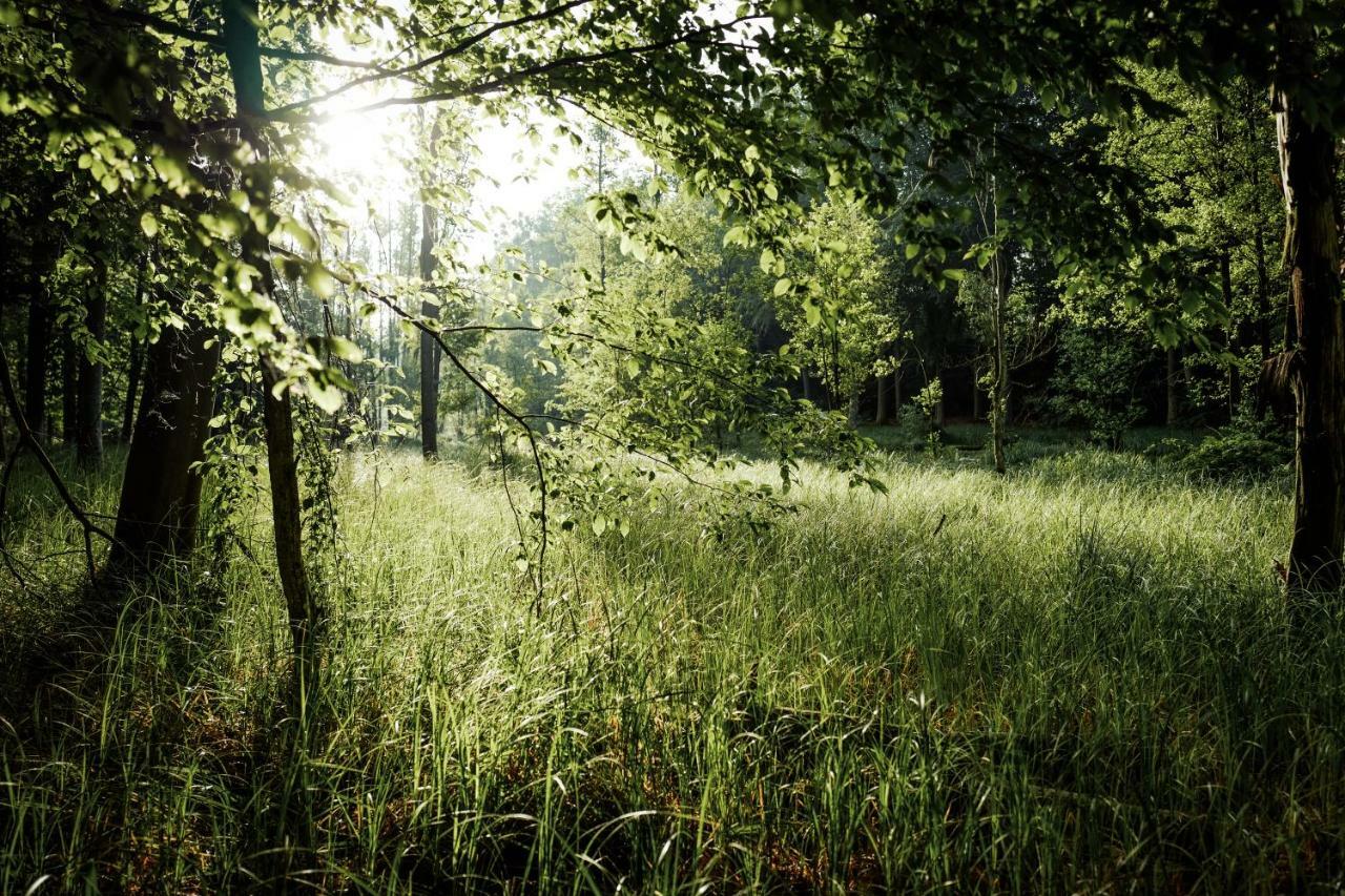Feriendomizil Alter Garten Temmen-Ringenwalde Zewnętrze zdjęcie